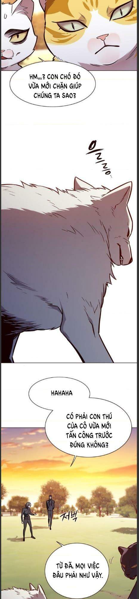 Hóa Thân Thành Mèo Chap 161 - Next Chap 162