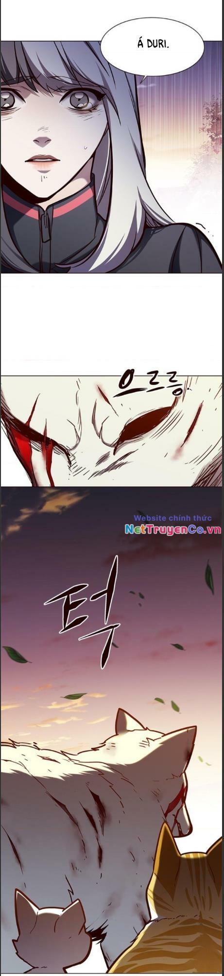 Hóa Thân Thành Mèo Chap 161 - Next Chap 162