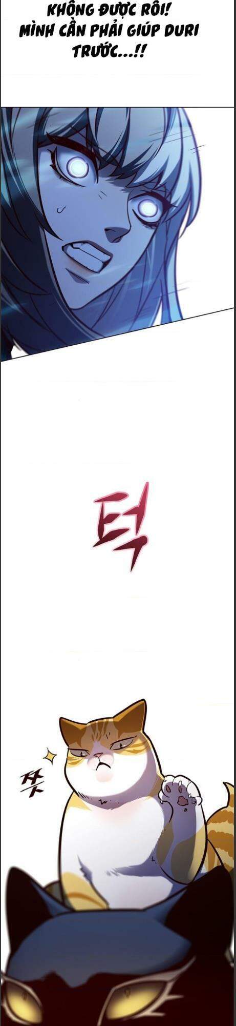 Hóa Thân Thành Mèo Chap 161 - Next Chap 162