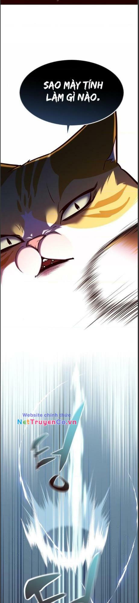 Hóa Thân Thành Mèo Chap 161 - Next Chap 162