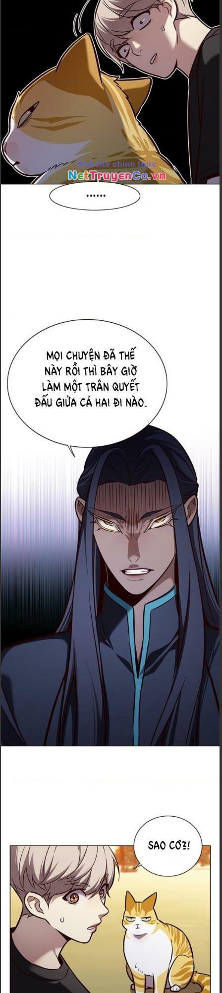 Hóa Thân Thành Mèo Chap 162 - Next Chap 163