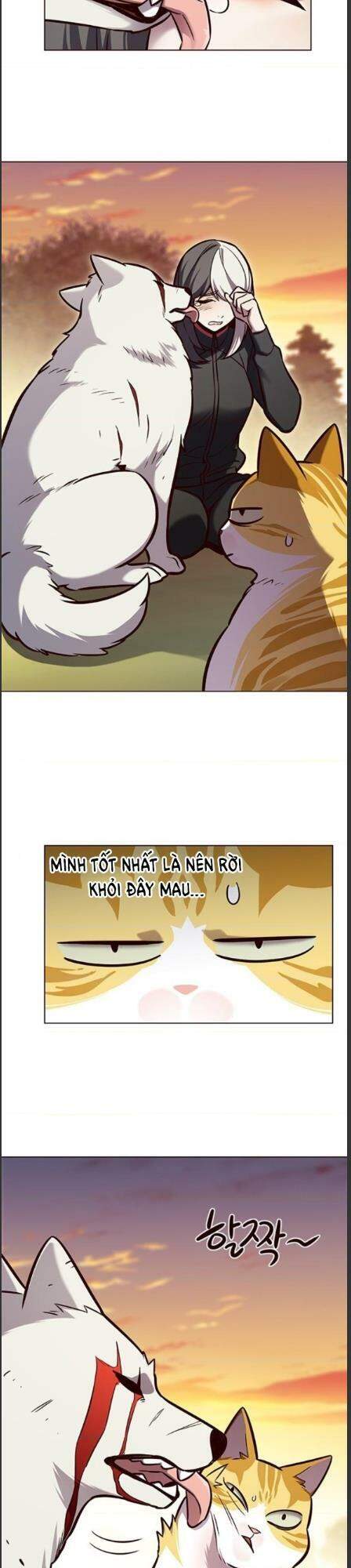 Hóa Thân Thành Mèo Chap 162 - Next Chap 163