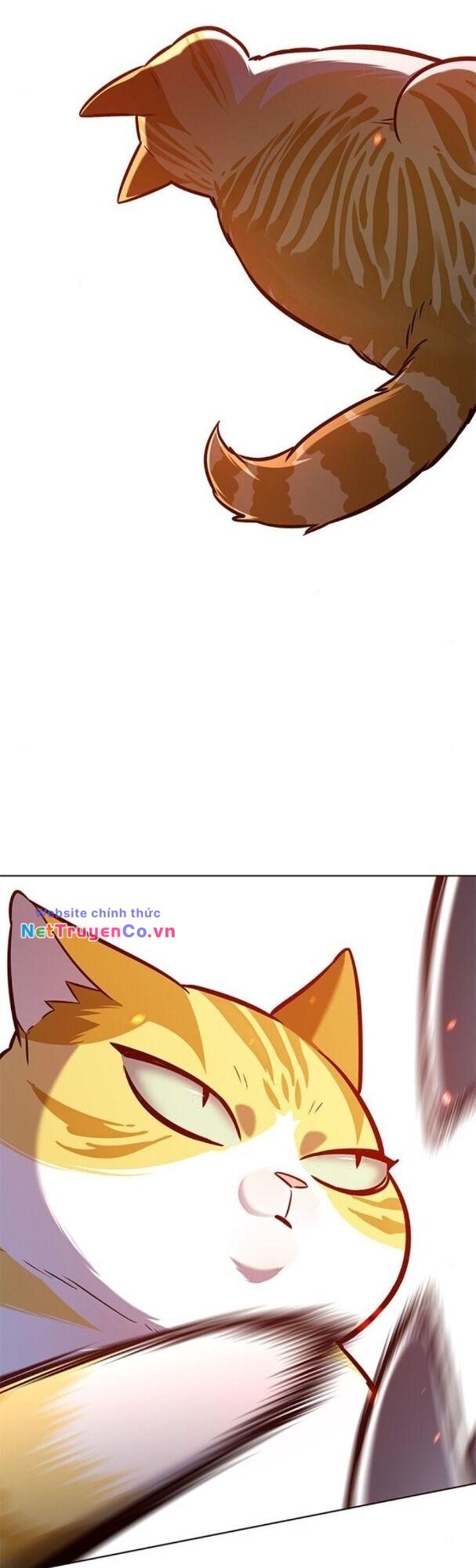 Hóa Thân Thành Mèo Chap 163 - Next Chap 164