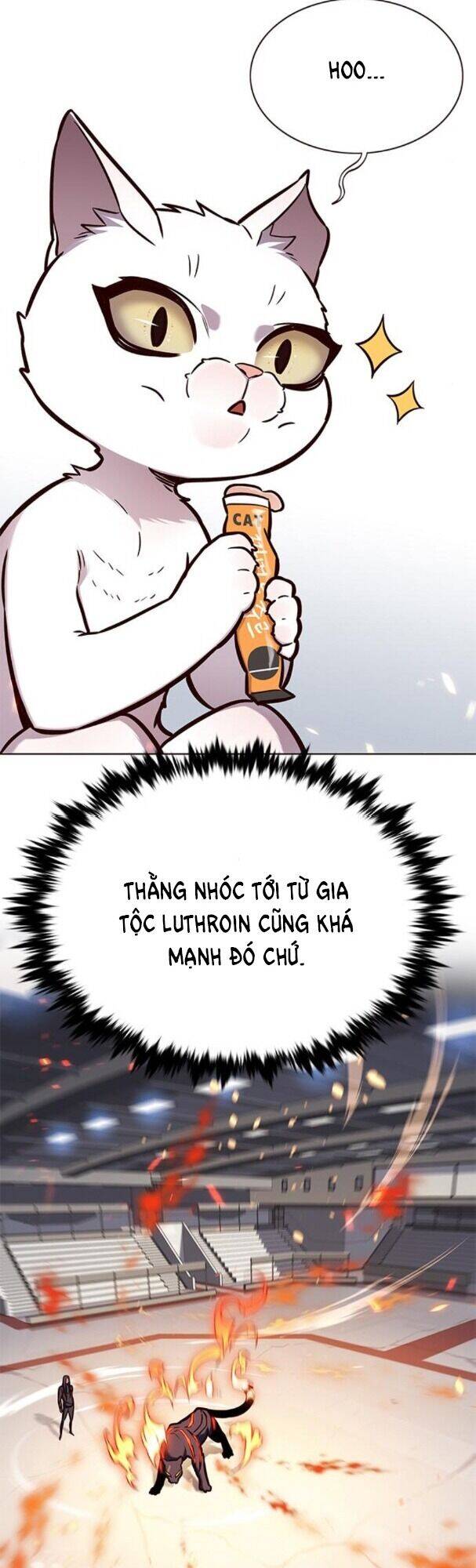 Hóa Thân Thành Mèo Chap 163 - Next Chap 164