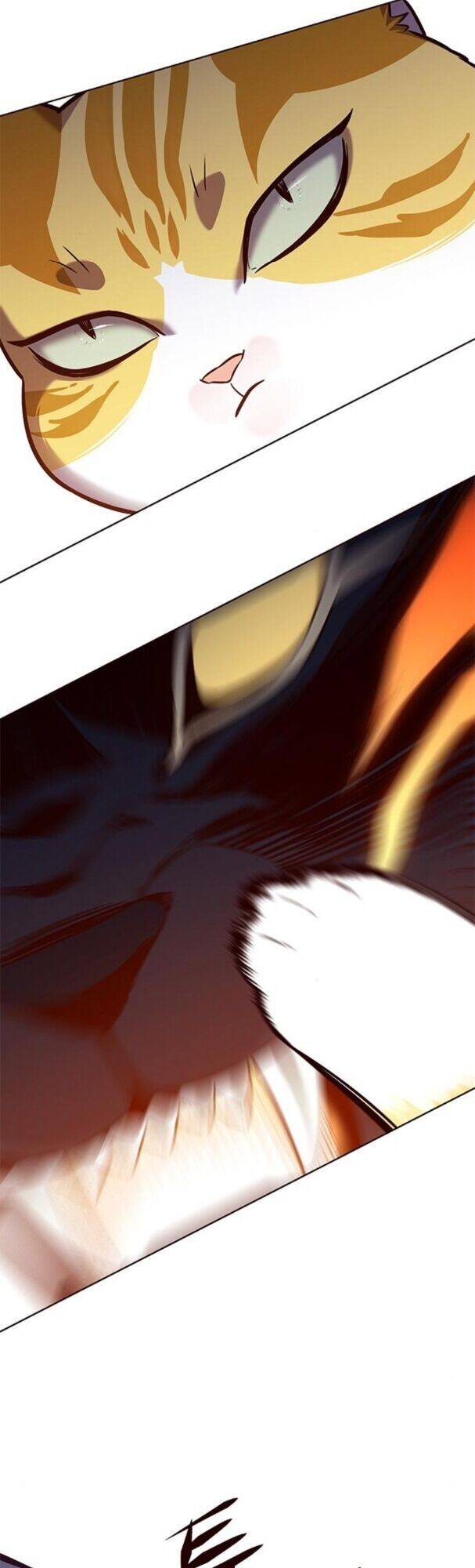 Hóa Thân Thành Mèo Chap 163 - Next Chap 164