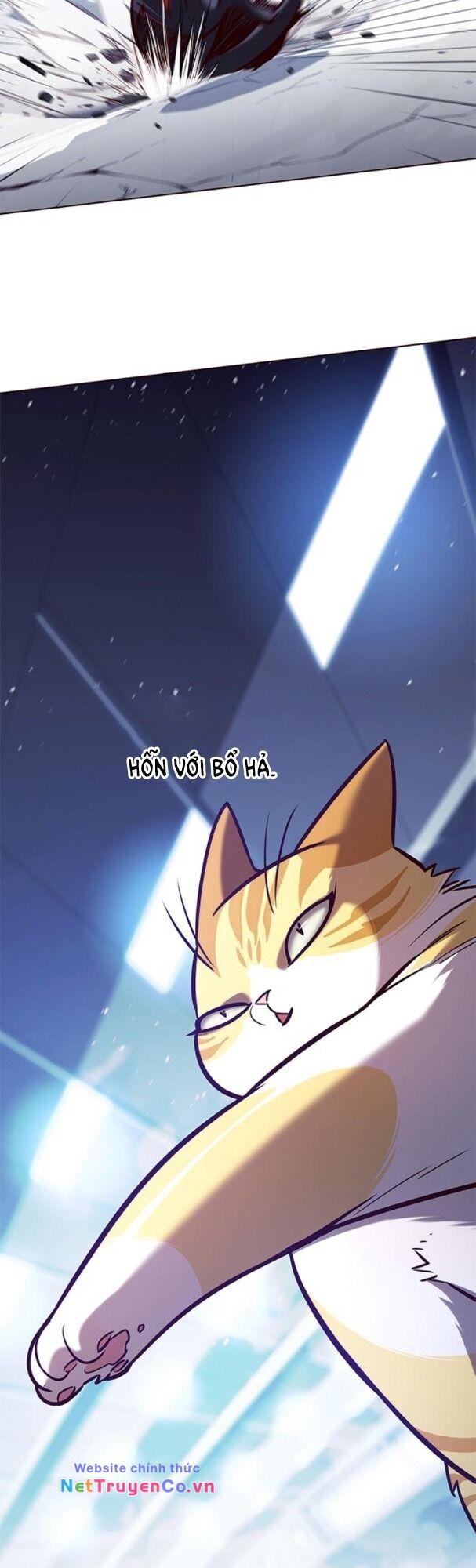 Hóa Thân Thành Mèo Chap 163 - Next Chap 164