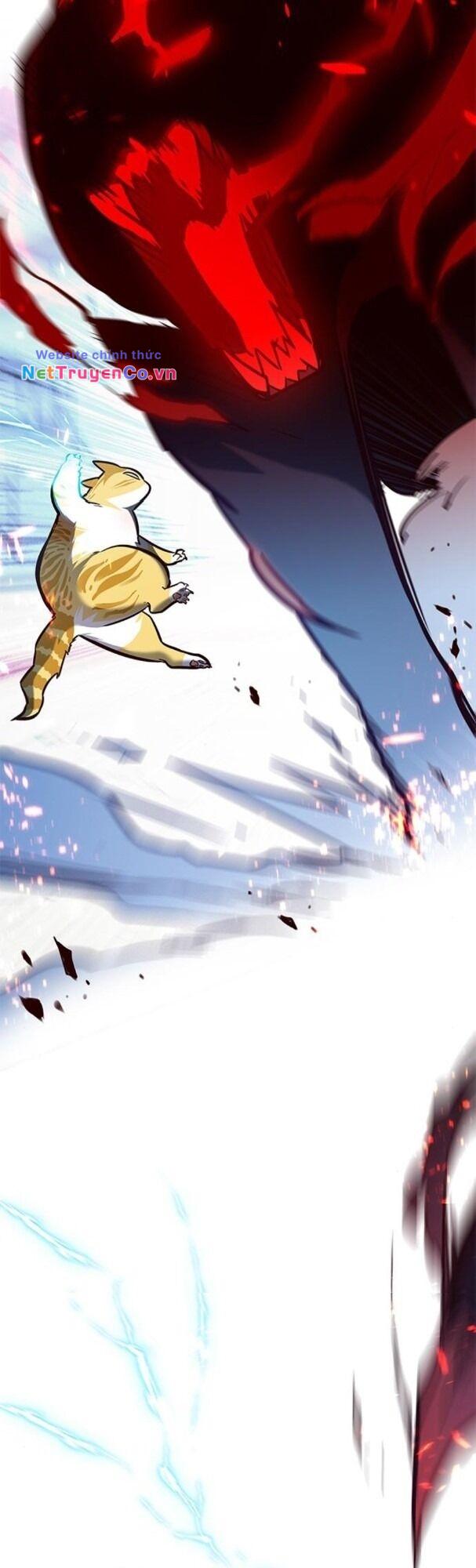 Hóa Thân Thành Mèo Chap 163 - Next Chap 164