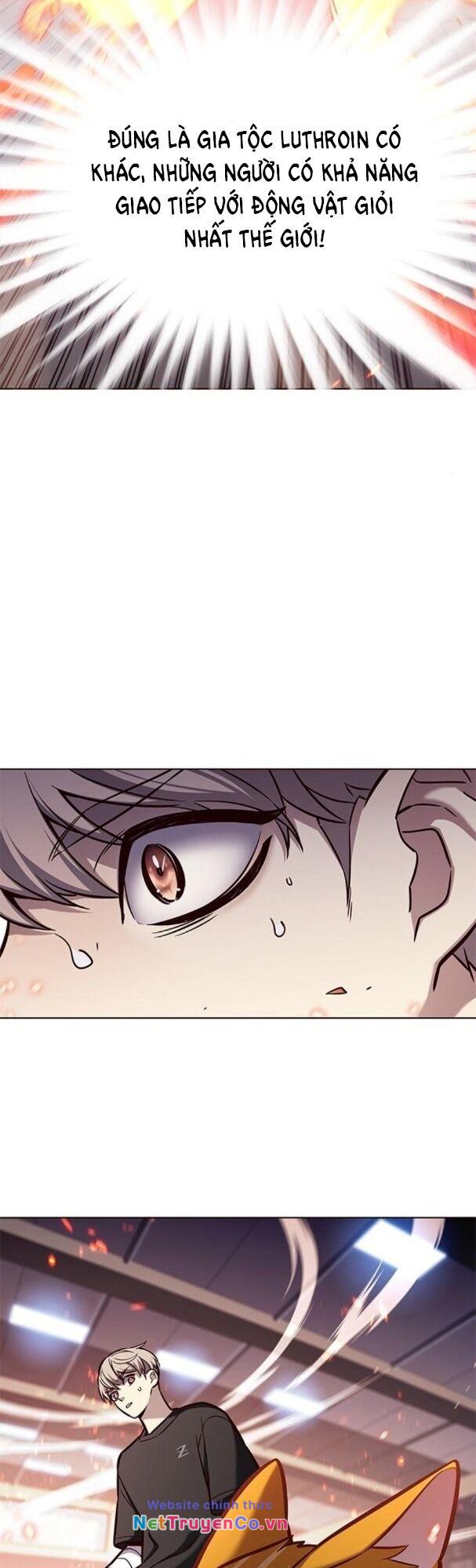 Hóa Thân Thành Mèo Chap 163 - Next Chap 164