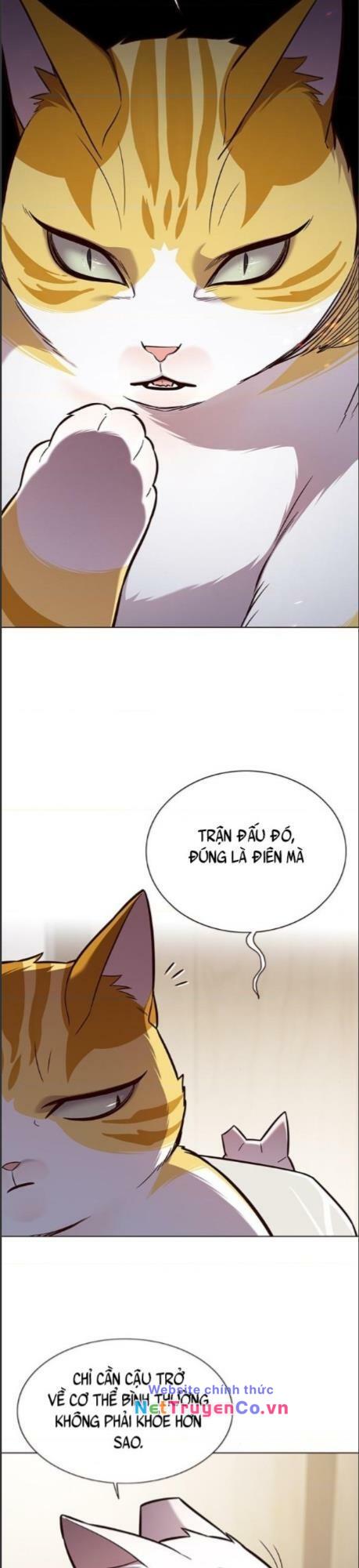 Hóa Thân Thành Mèo Chap 164 - Next Chap 165