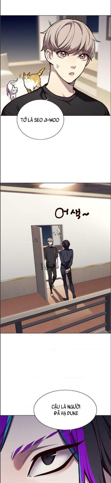 Hóa Thân Thành Mèo Chap 164 - Next Chap 165