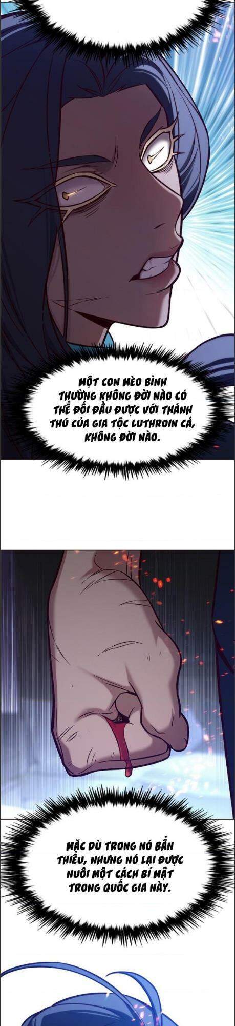 Hóa Thân Thành Mèo Chap 164 - Next Chap 165