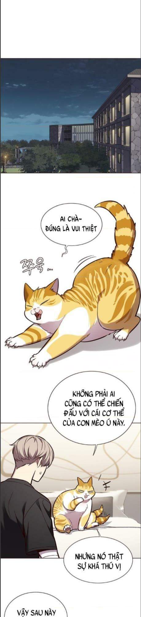 Hóa Thân Thành Mèo Chap 164 - Next Chap 165