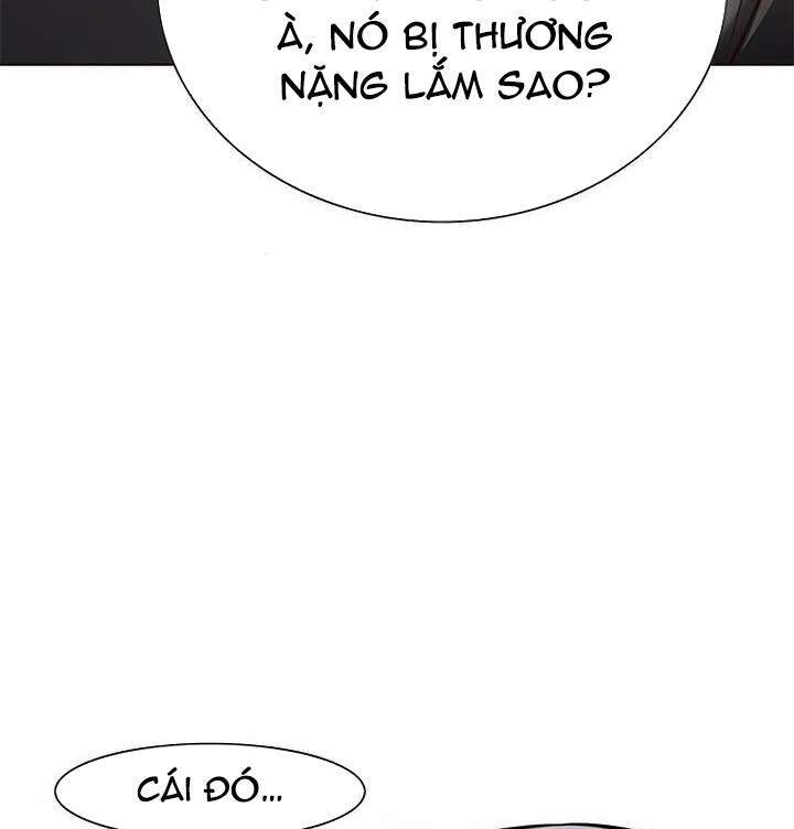 Hóa Thân Thành Mèo Chap 165 - Next Chap 166