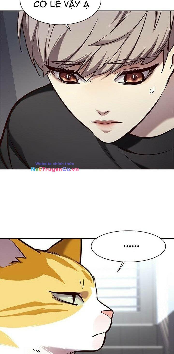 Hóa Thân Thành Mèo Chap 165 - Next Chap 166