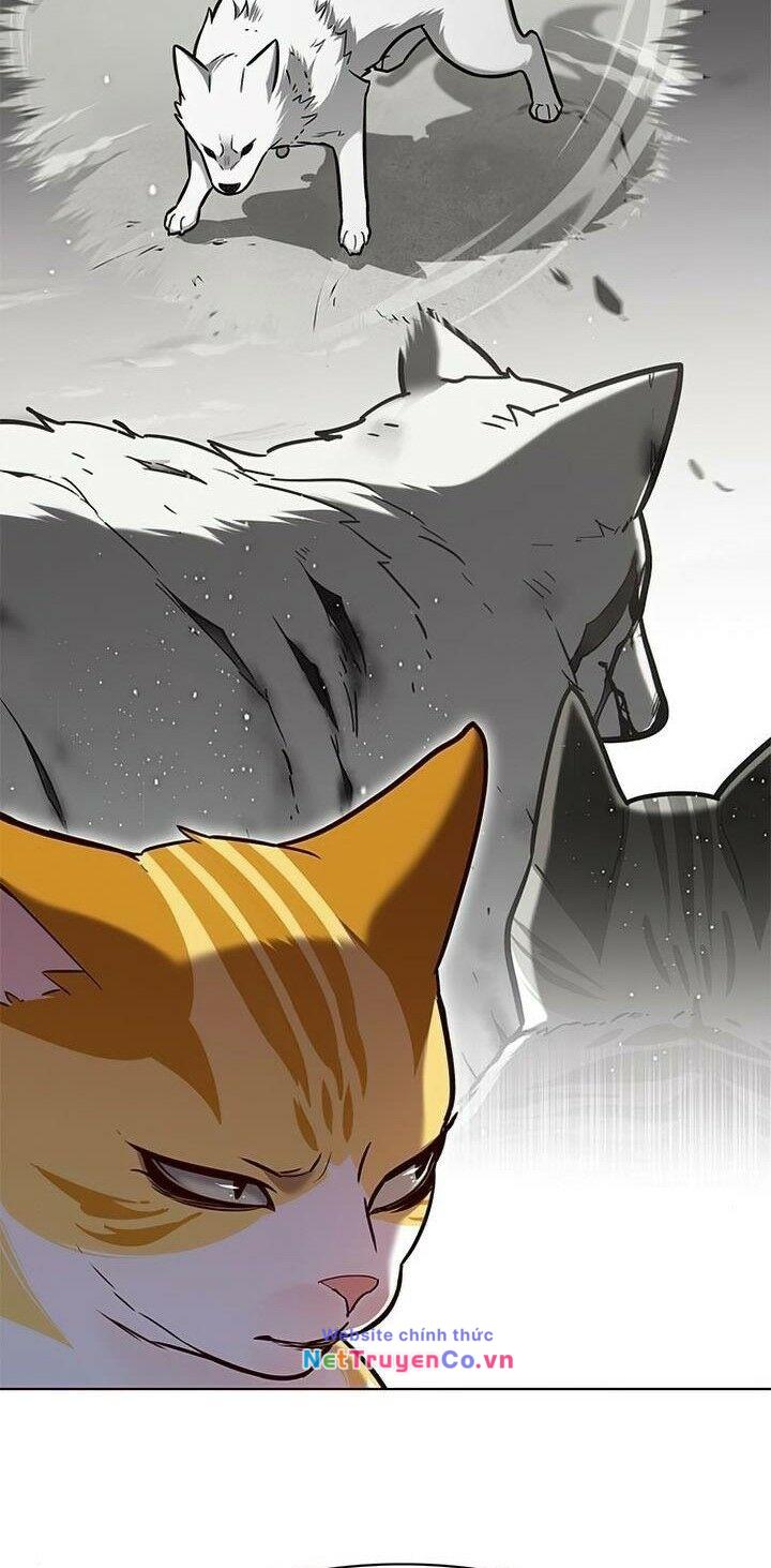 Hóa Thân Thành Mèo Chap 165 - Next Chap 166