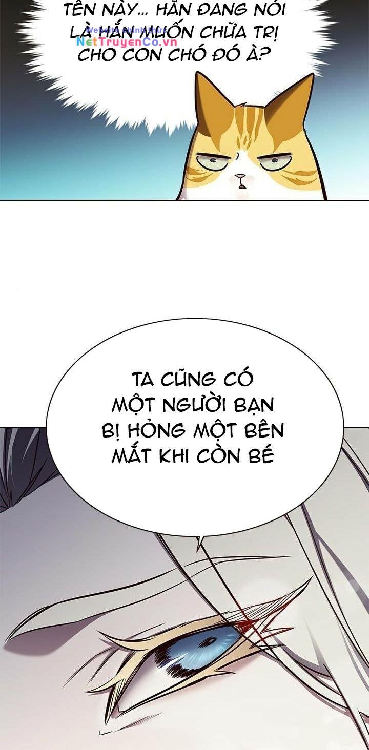 Hóa Thân Thành Mèo Chap 165 - Next Chap 166