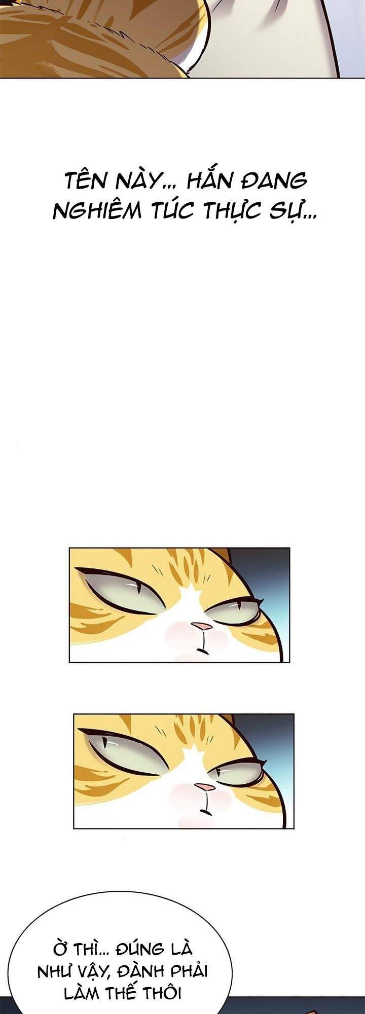 Hóa Thân Thành Mèo Chap 165 - Next Chap 166