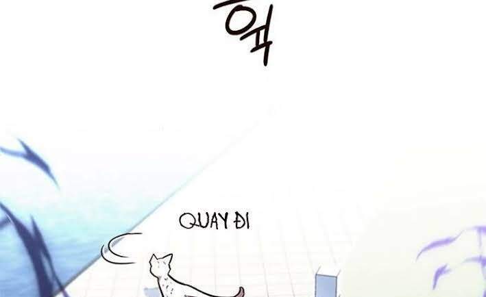 Hóa Thân Thành Mèo Chap 166 - Next Chap 167