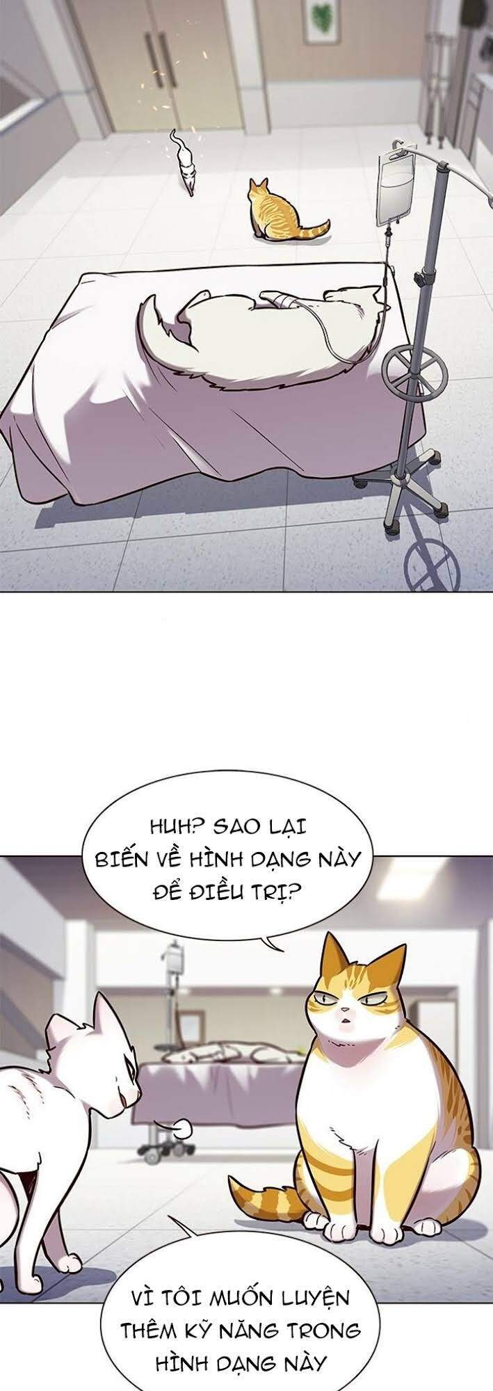Hóa Thân Thành Mèo Chap 166 - Next Chap 167