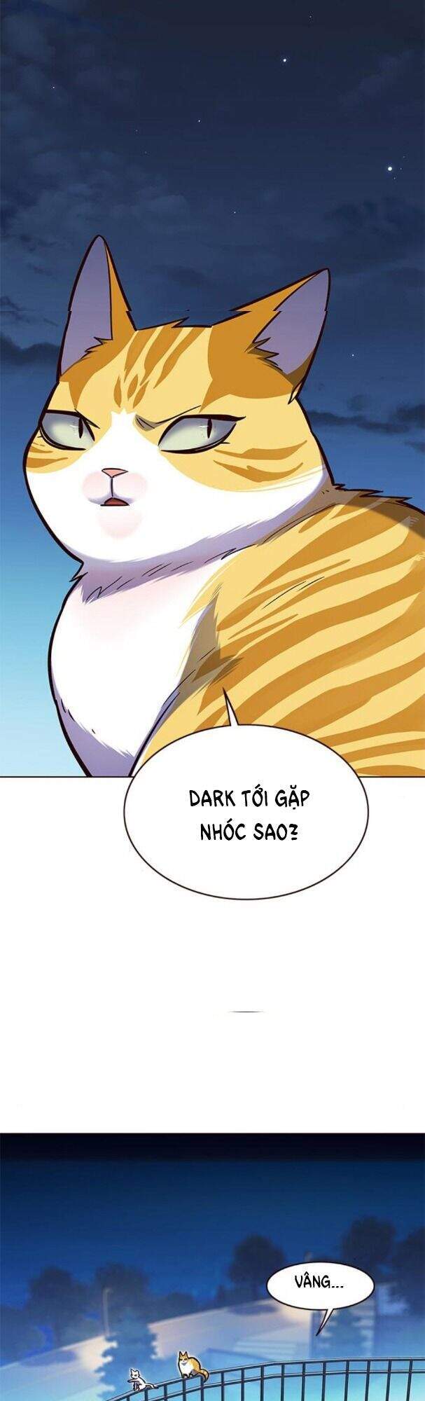 Hóa Thân Thành Mèo Chap 169 - Next Chap 170