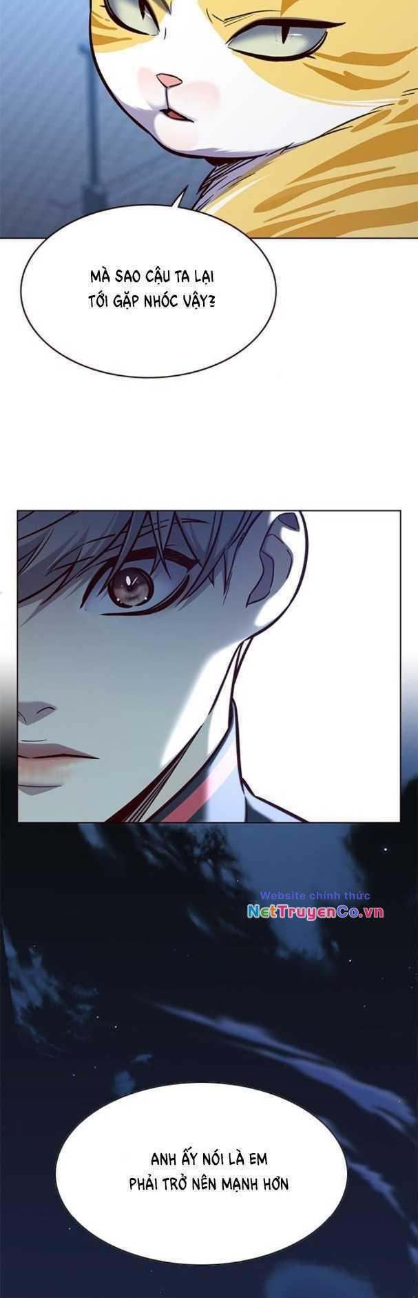 Hóa Thân Thành Mèo Chap 169 - Next Chap 170