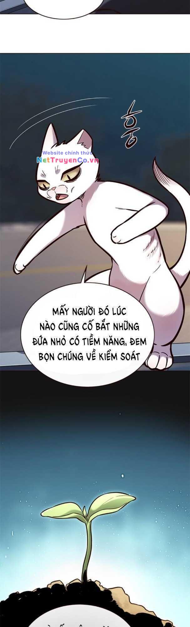Hóa Thân Thành Mèo Chap 169 - Next Chap 170