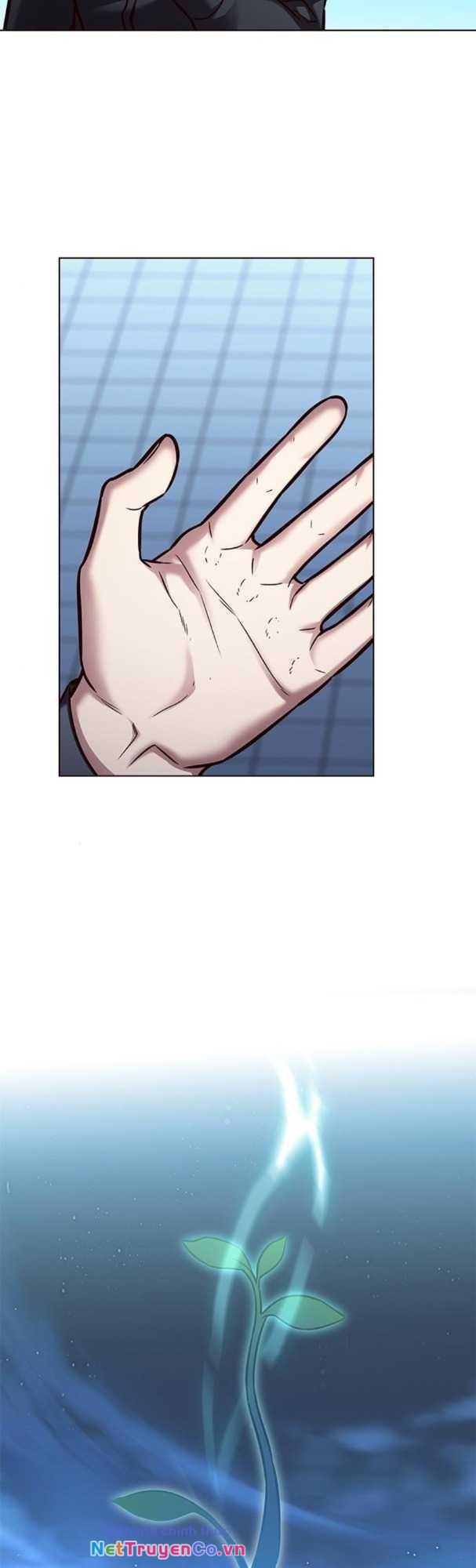 Hóa Thân Thành Mèo Chap 169 - Next Chap 170