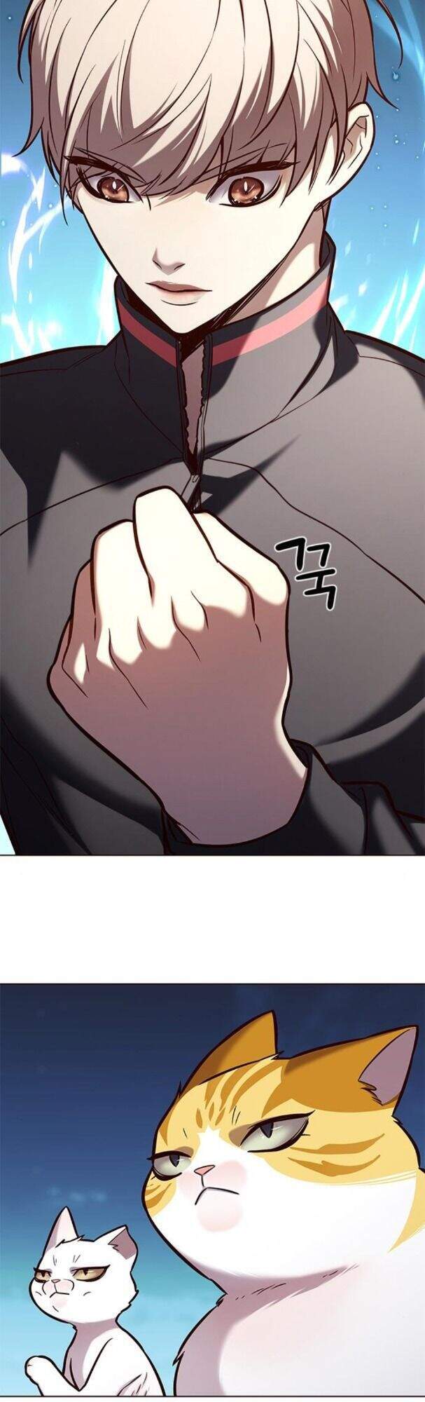 Hóa Thân Thành Mèo Chap 169 - Next Chap 170