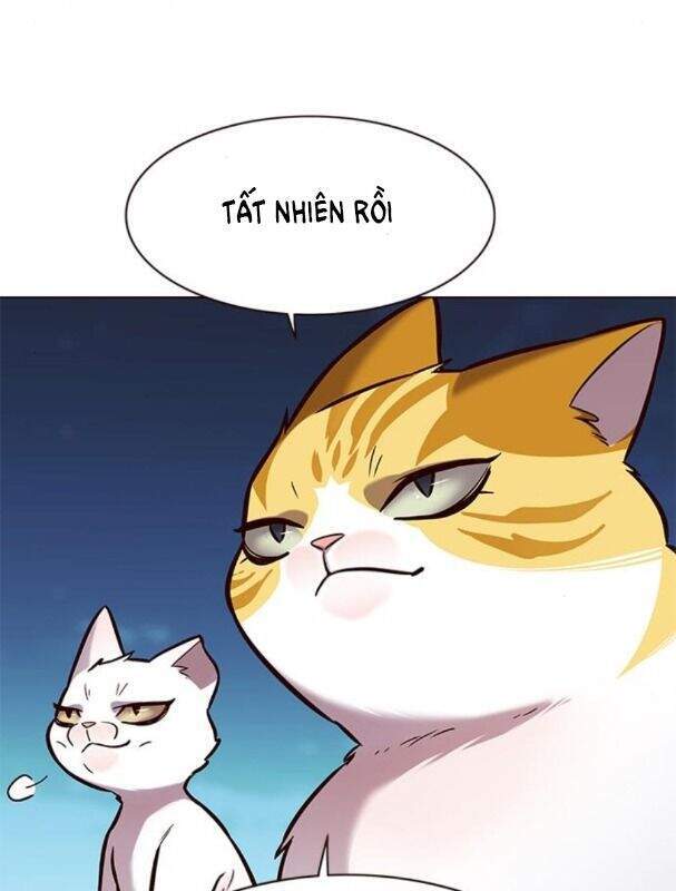 Hóa Thân Thành Mèo Chap 169 - Next Chap 170
