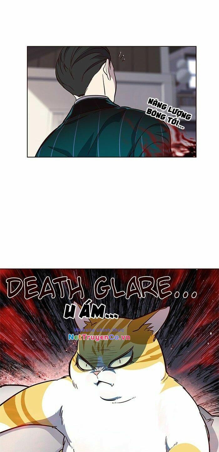 Hóa Thân Thành Mèo Chap 17 - Next Chap 18