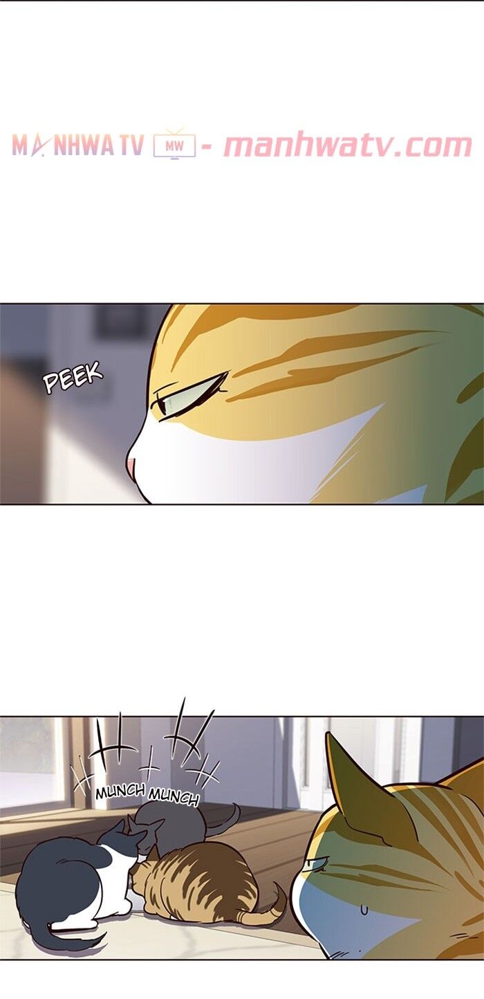 Hóa Thân Thành Mèo Chap 17 - Next Chap 18