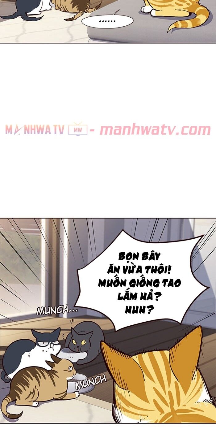 Hóa Thân Thành Mèo Chap 17 - Next Chap 18