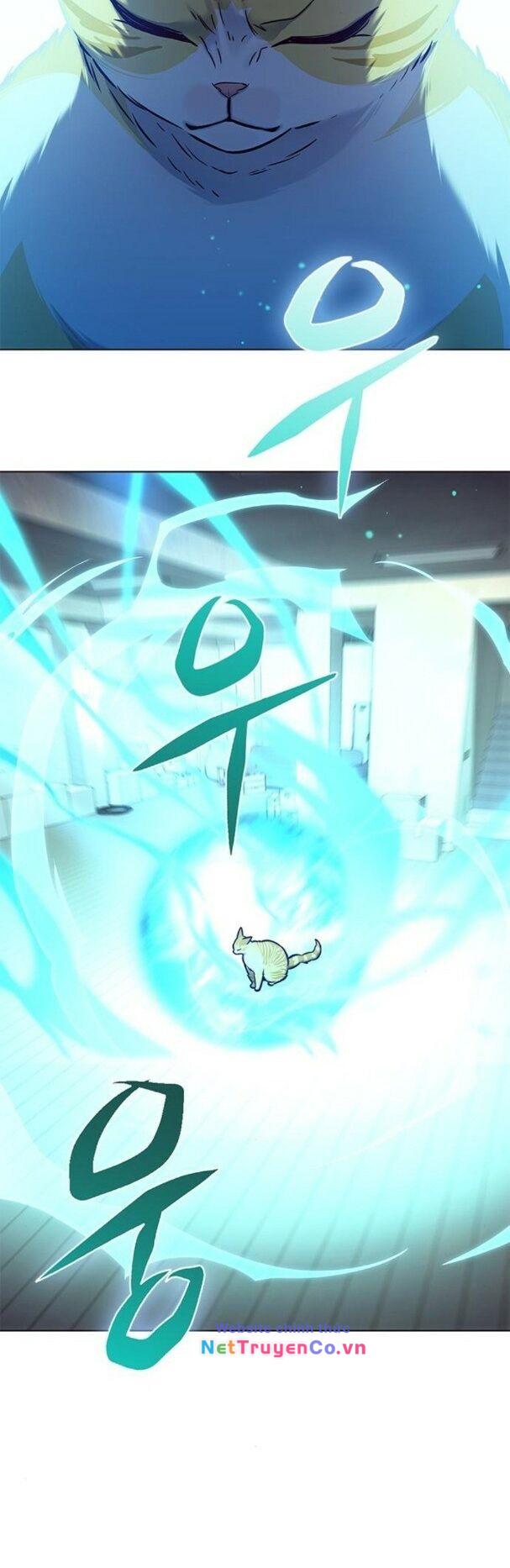 Hóa Thân Thành Mèo Chap 182 - Next Chap 183