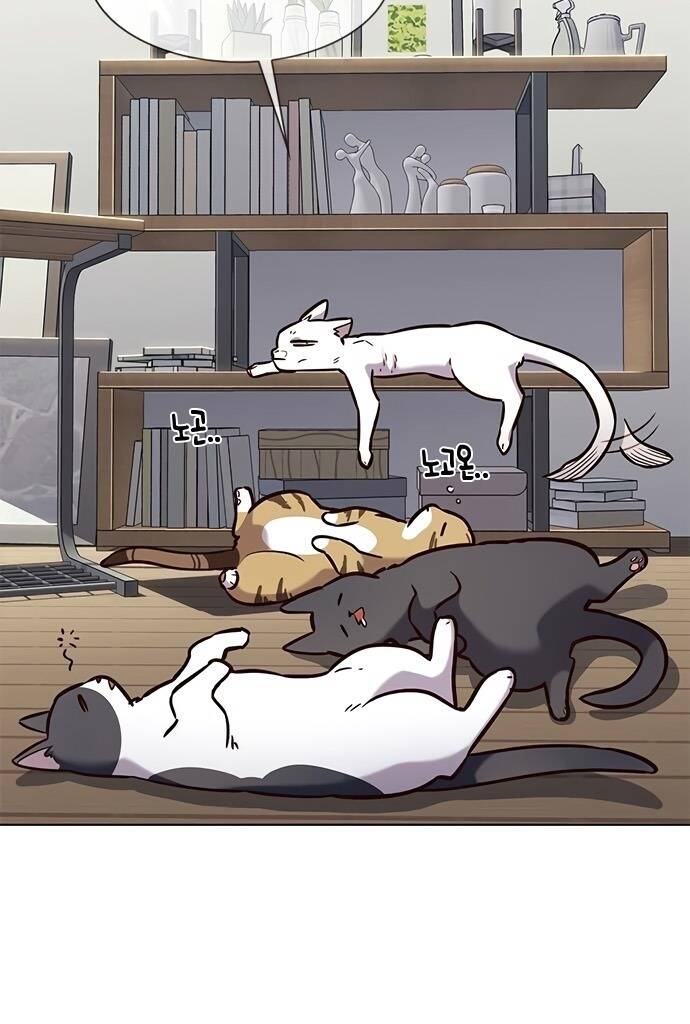 Hóa Thân Thành Mèo Chap 187 - Next Chap 188