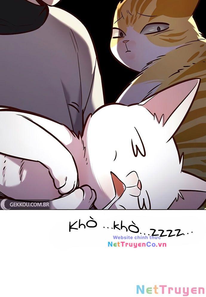 Hóa Thân Thành Mèo Chap 188 - Next Chap 189