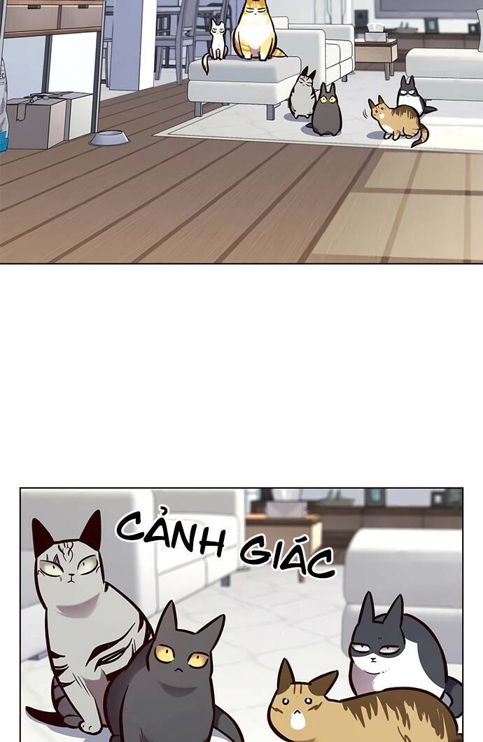 Hóa Thân Thành Mèo Chap 188 - Next Chap 189