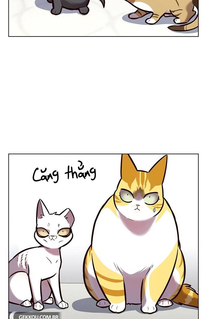 Hóa Thân Thành Mèo Chap 188 - Next Chap 189