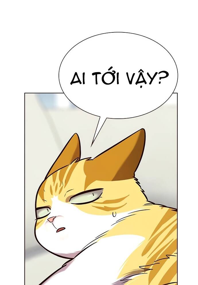 Hóa Thân Thành Mèo Chap 188 - Next Chap 189