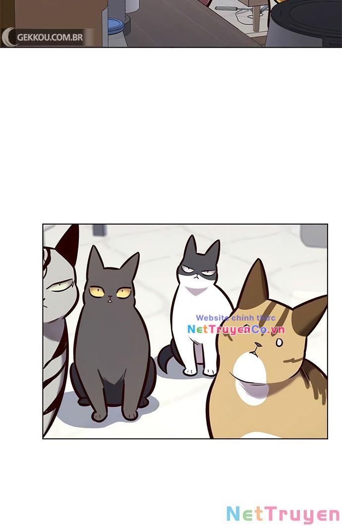 Hóa Thân Thành Mèo Chap 188 - Next Chap 189