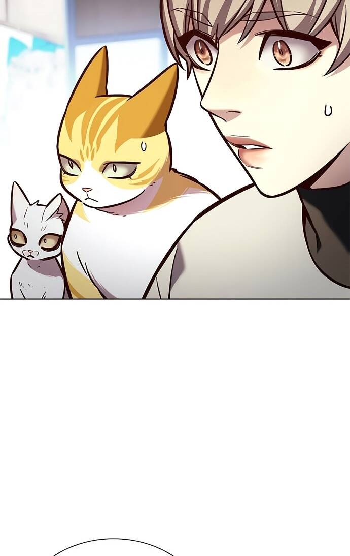 Hóa Thân Thành Mèo Chap 188 - Next Chap 189