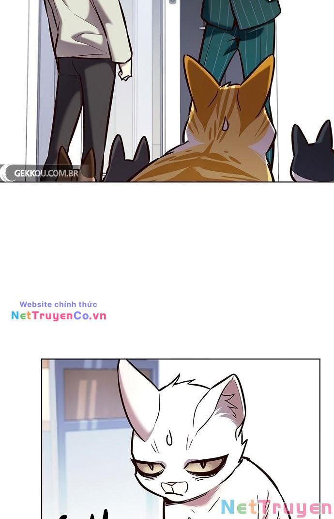 Hóa Thân Thành Mèo Chap 189 - Next Chap 190