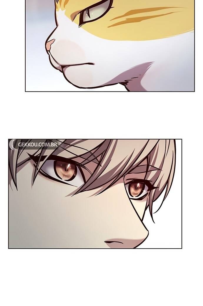 Hóa Thân Thành Mèo Chap 189 - Next Chap 190