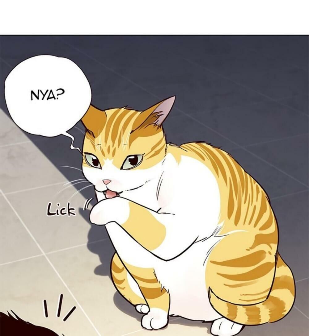 Hóa Thân Thành Mèo Chap 19 - Next Chap 20