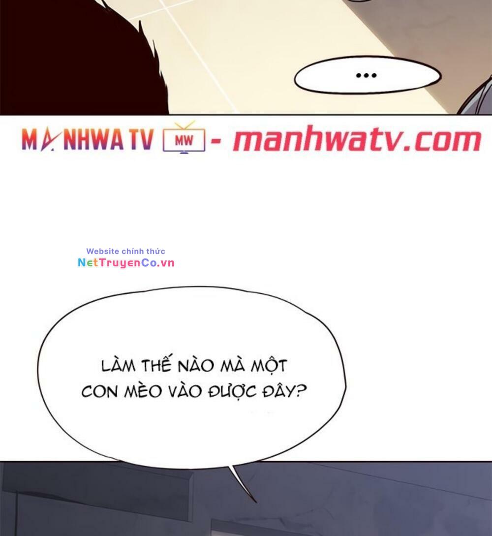 Hóa Thân Thành Mèo Chap 19 - Next Chap 20