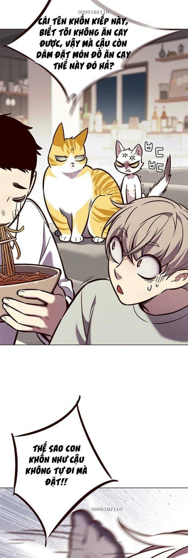 Hóa Thân Thành Mèo Chap 190 - Next Chap 191