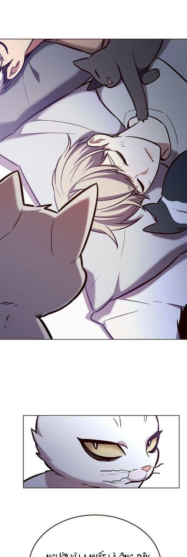 Hóa Thân Thành Mèo Chap 190 - Next Chap 191