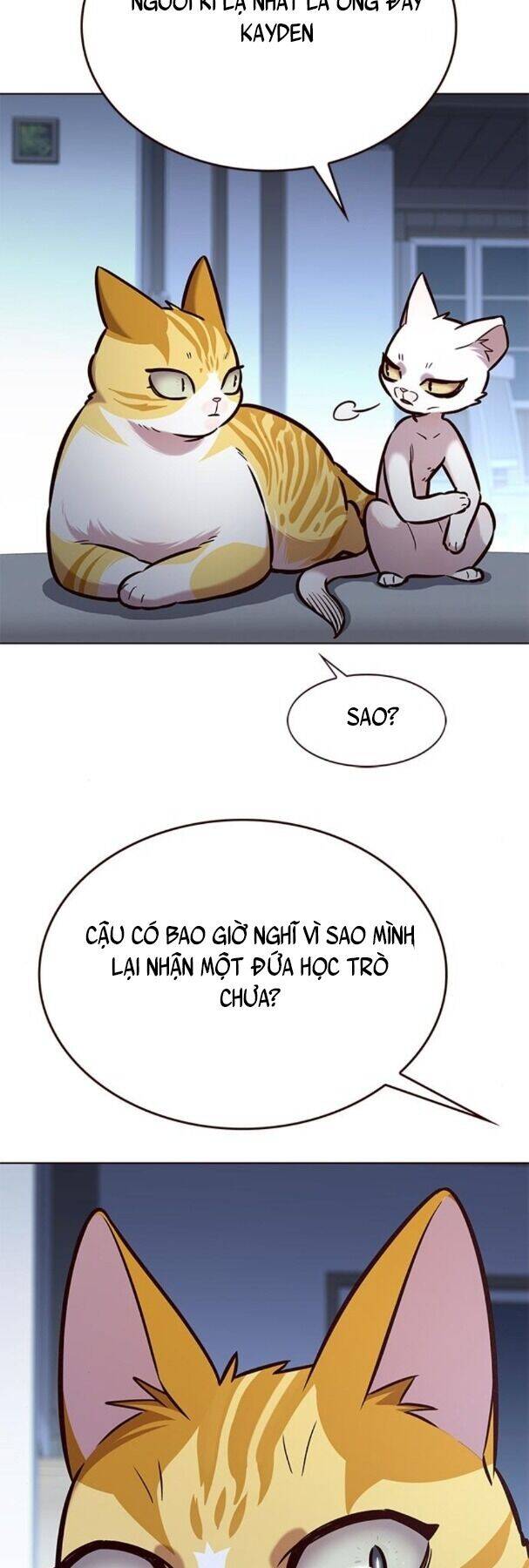 Hóa Thân Thành Mèo Chap 190 - Next Chap 191