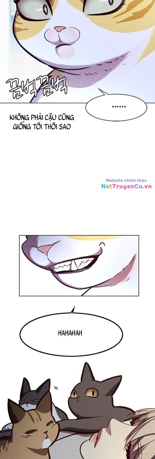 Hóa Thân Thành Mèo Chap 190 - Next Chap 191