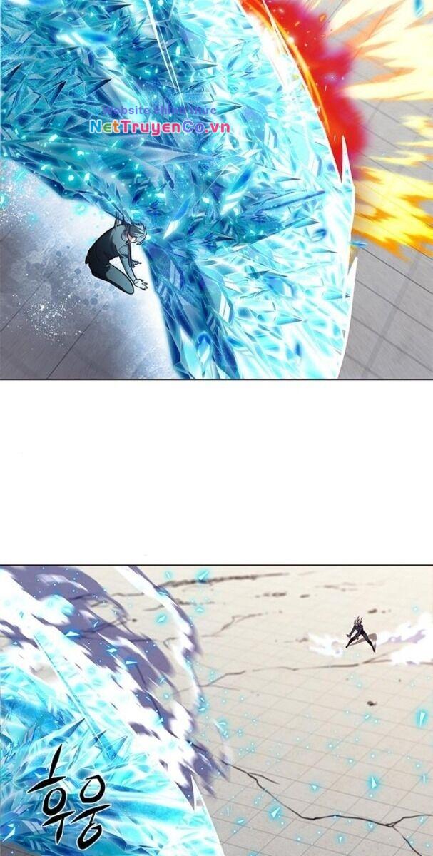 Hóa Thân Thành Mèo Chap 194 - Next Chap 195