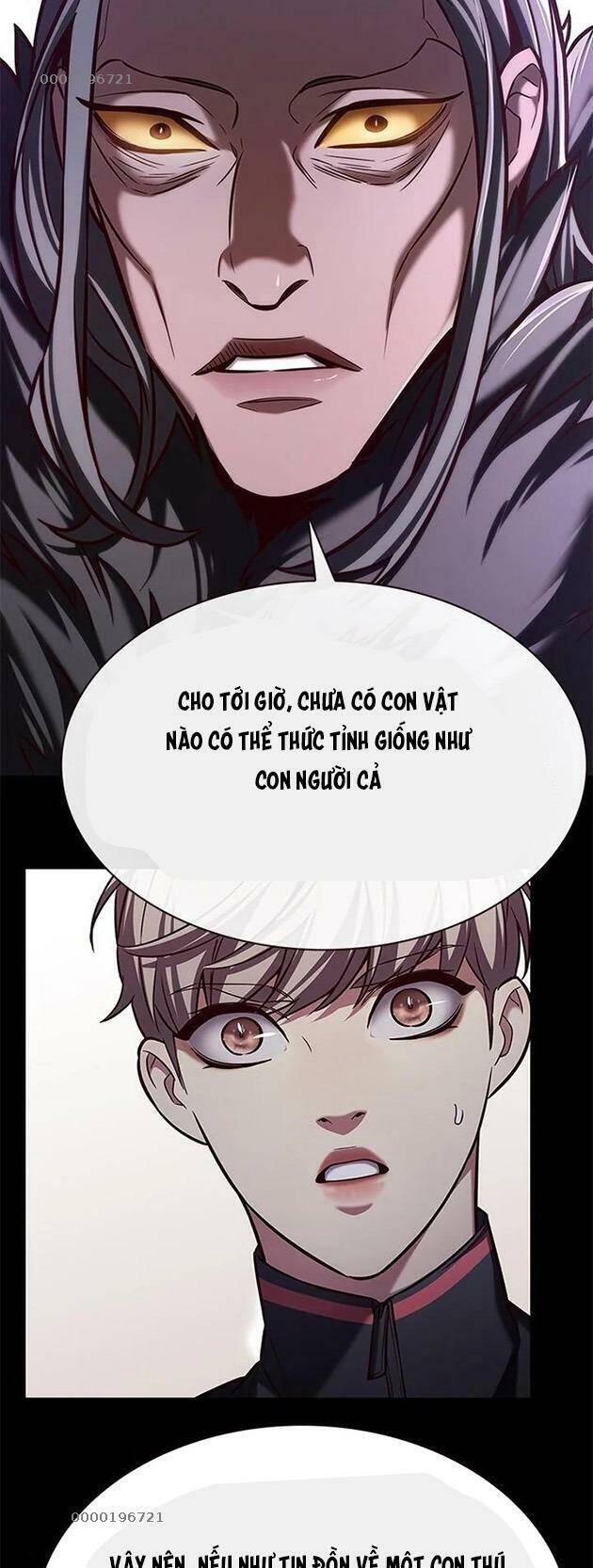 Hóa Thân Thành Mèo Chap 196 - Next Chap 197